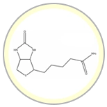 Dental Bright nano hydroxyapatite ingredient