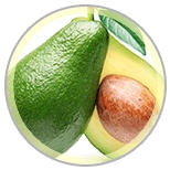 Dental Bright neem extract ingredient